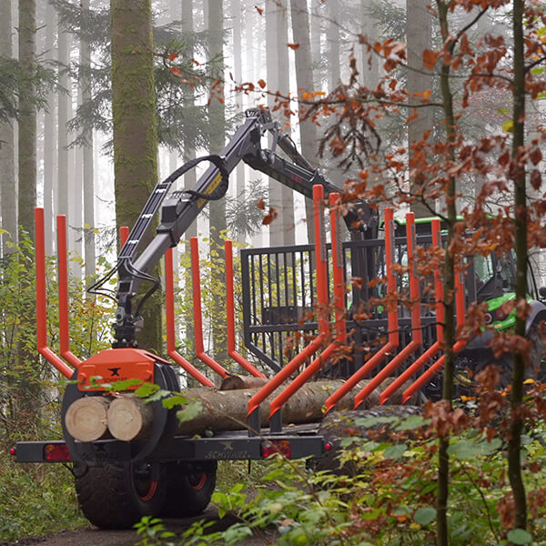 Rückewagen mit Kran von Schwarz