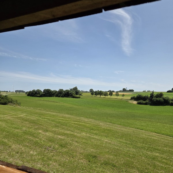 Ausblick von einem Hochsitz